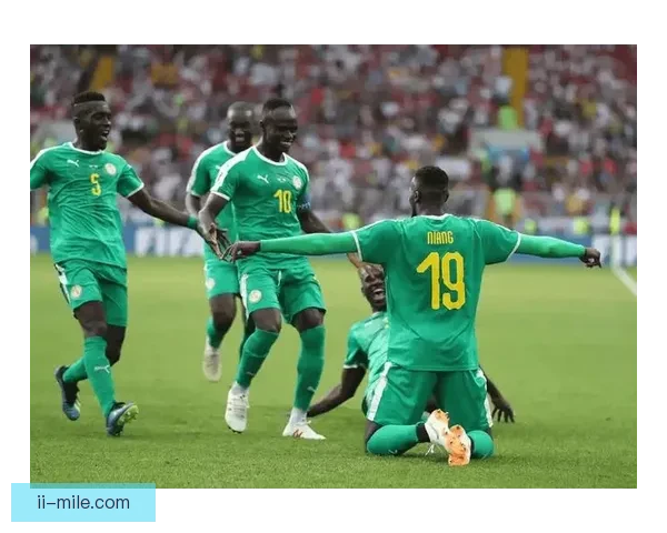 塞内加尔非洲杯卫冕梦碎小组赛提前出局震动非洲足坛引热议再掀反思